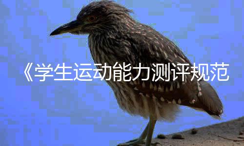 《學(xué)生運動能力測評規(guī)范》國家標(biāo)準(zhǔn)如何重塑體育課？