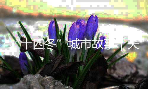 “十四冬”城市故事｜天天都有那達(dá)慕，這里是陳巴爾虎旗