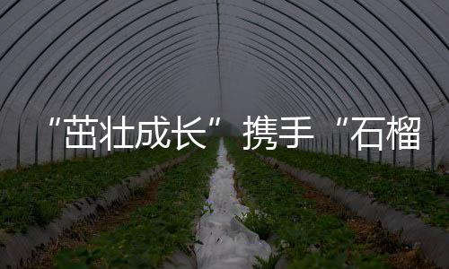 “茁壯成長”攜手“石榴籽”一起做公益 上好體育課，講好普通話