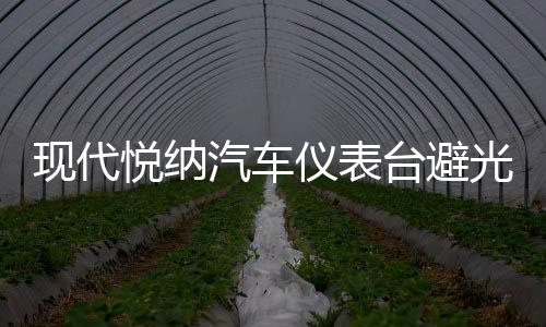現代悅納汽車儀表臺避光墊中控工作盤防曬遮陽防滑墊改裝用品配件