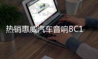 熱銷惠威汽車音響B(tài)C10.0-V無源低音炮喇叭不帶功放車載改裝