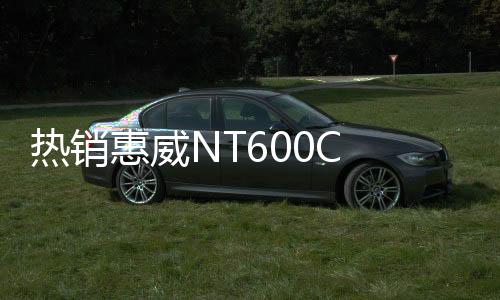 熱銷惠威NT600C 6.5寸汽車音響同軸喇叭車載揚聲器無損安裝
