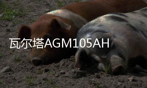 瓦爾塔AGM105AH啟停蓄電池奧迪A6L/A7/A8L/寶馬5系7系/X5汽車電瓶