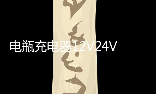 電瓶充電器12V24V汽車船用貨車智能純銅大功率充滿自停水電瓶通用