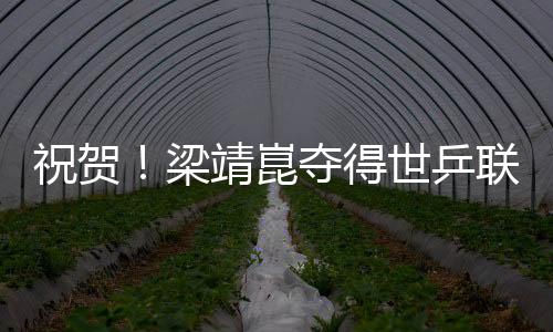 祝賀！梁靖崑奪得世乒聯(lián)冠軍賽韓國(guó)站男單冠軍