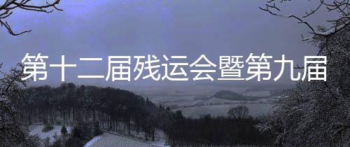 第十二屆殘運會暨第九屆特奧會羽毛球(大眾)比賽落幕 寧夏隊攬4金