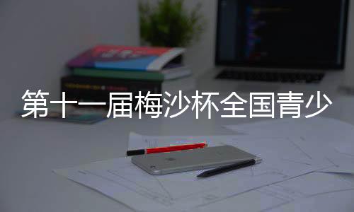 第十一屆梅沙杯全國青少年帆船聯(lián)賽廈門站開賽