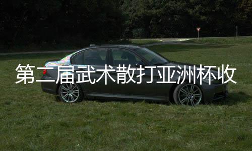 第二屆武術散打亞洲杯收官:中國隊奪9金2銀居榜首