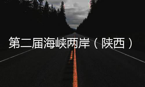 第二屆海峽兩岸(陜西)青少年足球交流賽榆林開賽