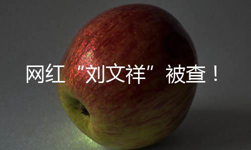 網(wǎng)紅“劉文祥”被查！