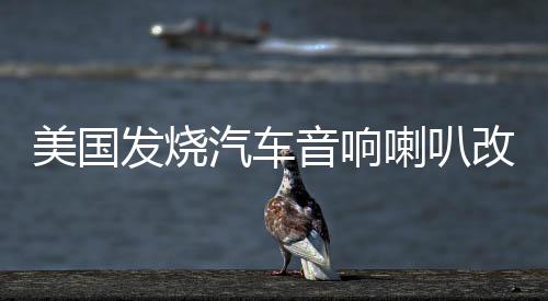 美國發(fā)燒汽車音響喇叭改裝6.5寸套裝車載音響重低音炮無損揚聲器