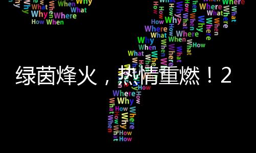 綠茵烽火，熱情重燃！2024中國網(wǎng)絡媒體足球精英賽開幕