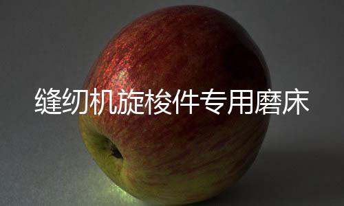 縫紉機(jī)旋梭件專(zhuān)用磨床