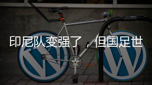 印尼隊變強了，但國足世預賽有機會——專訪北京國安荷蘭籍外教杰森