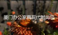 廈門辦公家具現(xiàn)代時尚簡易辦公沙發(fā)接待室會客沙發(fā)簡約三人位組合