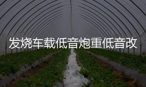 發(fā)燒車載低音炮重低音改裝超薄座位下有源帶功放藍牙專用音響12v
