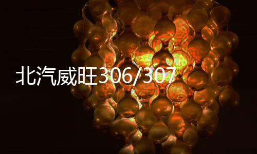 北汽威旺306/307滑輪中側(cè)門上中下合頁鉸鏈導(dǎo)輪走輪汽車滑輪配件