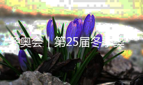 冬奧會(huì)｜第25屆冬季奧林匹克運(yùn)動(dòng)會(huì)在意大利維羅納閉幕