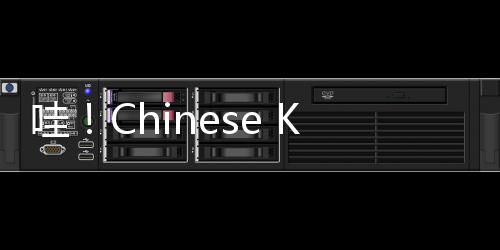 哇！Chinese Kungfu！中國傳統(tǒng)體育項目點燃巴黎街頭