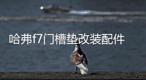 哈弗f7門槽墊改裝配件哈佛f7x專用車內裝飾品2021款汽車用品內飾