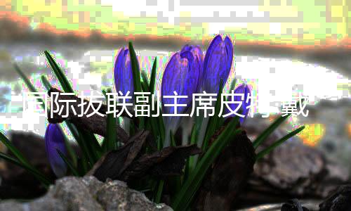 國際拔聯(lián)副主席皮特·戴爾：亞洲室外拔河競(jìng)爭(zhēng)力持續(xù)增強(qiáng)