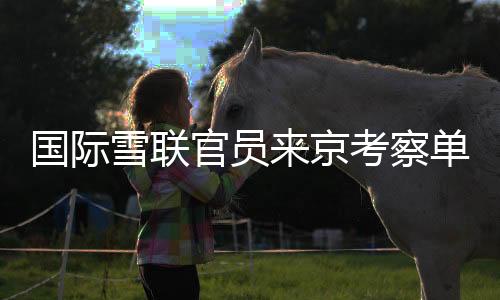 國(guó)際雪聯(lián)官員來京考察單板及自由式滑雪大跳臺(tái)世界杯籌辦工作