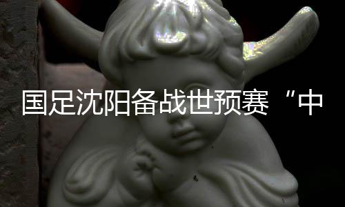 國足沈陽備戰(zhàn)世預(yù)賽“中泰之戰(zhàn)” 伊帥:傷病不是前進(jìn)路上的“絆腳石”