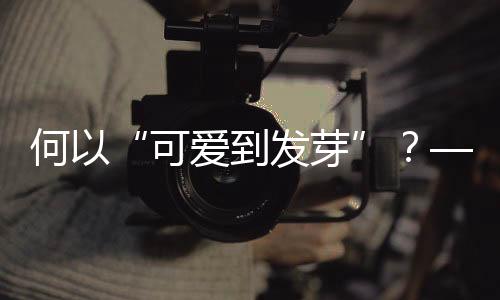 何以“可愛到發(fā)芽”？——十五運(yùn)會(huì)吉祥物誕生記