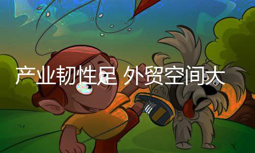 產(chǎn)業(yè)韌性足 外貿(mào)空間大 國產(chǎn)體育用品“賣”向全球