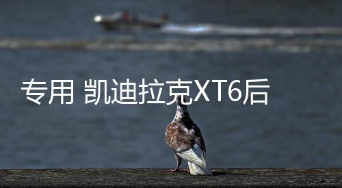 專用 凱迪拉克XT6后備箱網(wǎng)儲(chǔ)物網(wǎng)兜固定行李車載收納尾箱改裝配件