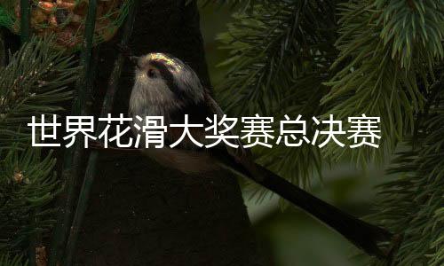 世界花滑大獎(jiǎng)賽總決賽 張嘉軒/黃一航獲雙人滑冠軍
