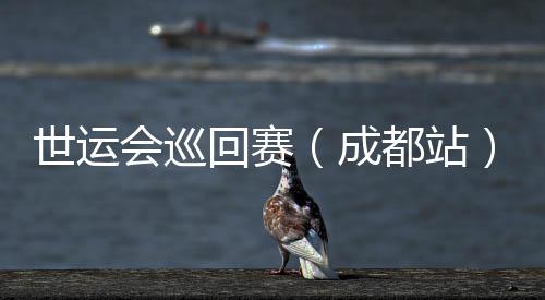 世運(yùn)會巡回賽(成都站)收官 IWGA主席:成都已經(jīng)準(zhǔn)備好了