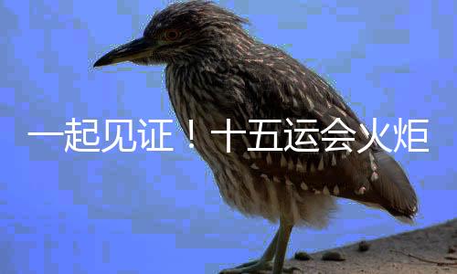 一起見證！十五運會火炬?zhèn)鬟f啟動儀式在深圳舉行