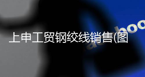 誠***路照明有限公司