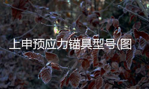 內(nèi)蒙古斯彼得斷橋鋁合金公司「在線咨詢」