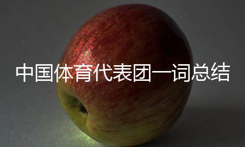 中國體育代表團一詞總結(jié)中國隊巴黎奧運會表現(xiàn)：突破