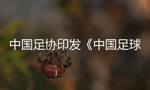 中國足協(xié)印發(fā)《中國足球協(xié)會誠信專員管理辦法（試行）》