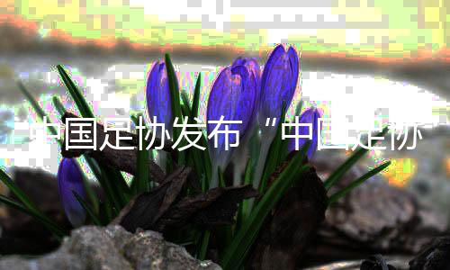 中國足協(xié)發(fā)布“中國足協(xié)球員自薦系統(tǒng)” 自薦、選拔如何進行？
