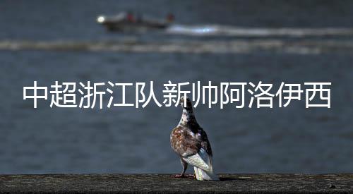 中超浙江隊(duì)新帥阿洛伊西:球隊(duì)將以嶄新面貌迎接新賽季