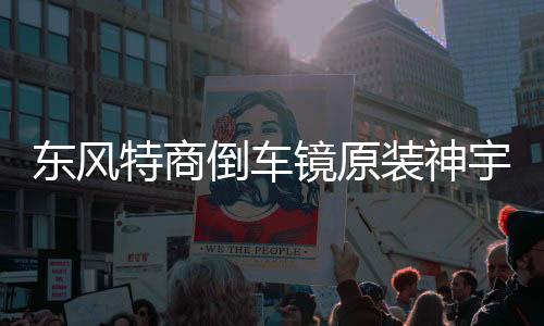東風(fēng)特商倒車鏡原裝神宇擎宇三環(huán)大運風(fēng)度倒車鏡汽車反光鏡后視鏡