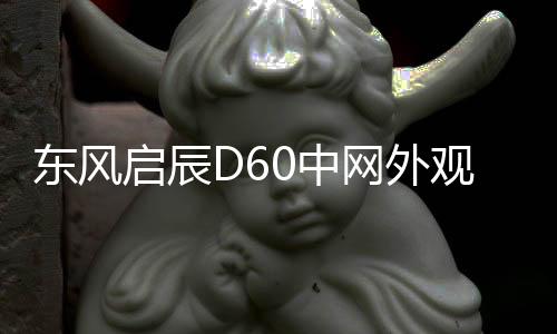 東風(fēng)啟辰D60中網(wǎng)外觀改裝配件D60 plus ev前臉鏟保險杠專用裝飾條