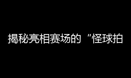 揭秘亮相賽場(chǎng)的“怪球拍”：瑞典選手的球拍為何是六邊形？