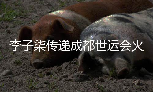 李子柒傳遞成都世運(yùn)會(huì)火炬:竹子的力量就像我們每個(gè)普通人