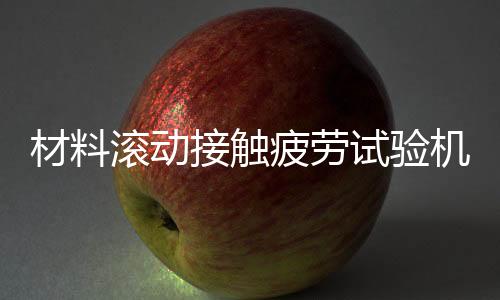 材料滾動接觸疲勞試驗機(jī)