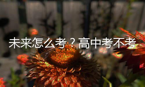 未來怎么考？高中考不考？——體育中考改革觀察之三