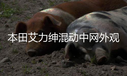 本田艾力紳混動(dòng)中網(wǎng)外觀改裝件前臉保險(xiǎn)杠大包圍專用裝飾亮條配件