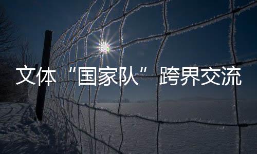 文體“國(guó)家隊(duì)”跨界交流——堅(jiān)定文化自信 積蓄精神動(dòng)能
