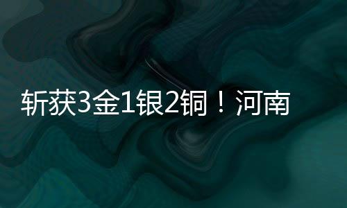 斬獲3金1銀2銅！河南選手出彩2025年全國跆拳道冠軍總決賽