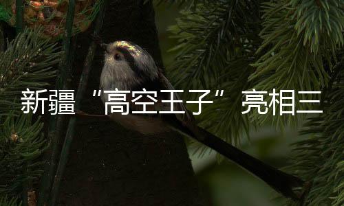 新疆“高空王子”亮相三亞 講述非遺“達(dá)瓦孜”的傳承故事