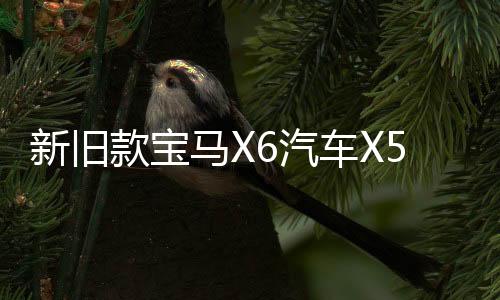 新舊款寶馬X6汽車(chē)X5電子手剎模塊電機(jī)駐車(chē)伺服 E70 E71馬達(dá)配件